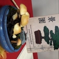 20170928_194259