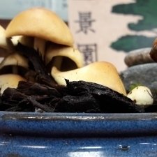20170928_194328