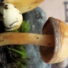 20170928_194407