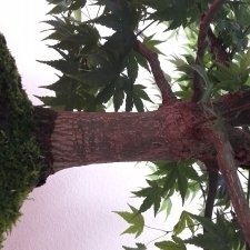 20170930_112012
