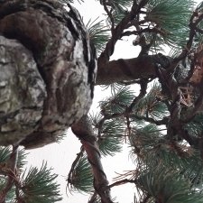20170930_112031