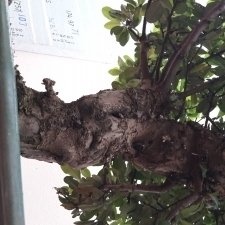 20170930_112121