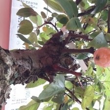 20170930_112152