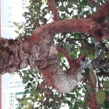 20170930_112203