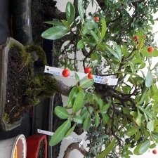 20170930_134354