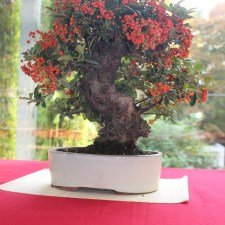 IMG_5583