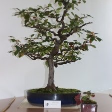 IMG_5587