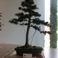 IMG_5588