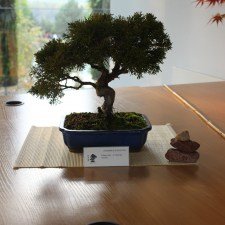 IMG_5596