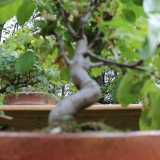 IMG_4808