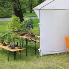 IMG_4813