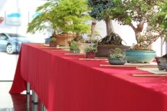 bonsai-paroda-kaune-2016-05-28