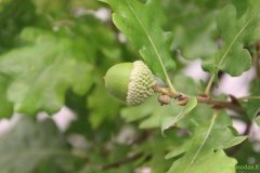 img_2754