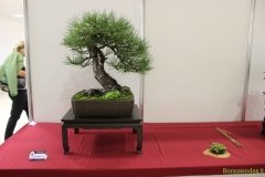 img_2758