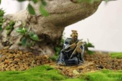 img_2774