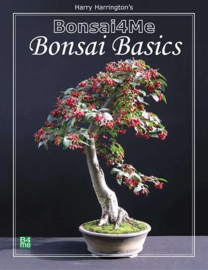 Bonsai pradžiamokslis. ELEKTRONINĖ KNYGA.(Anglų k.)