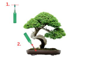 Bonsai medžių ir kitų augalų gaivinimo tonikas