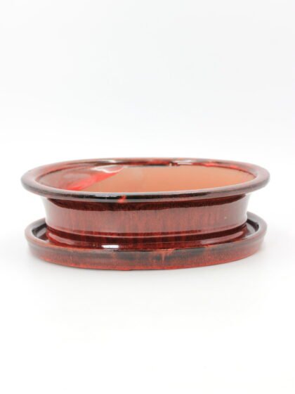 keramikinis bonsai vazonas su lėkštute skirtas bonsai medeliui kambaryje