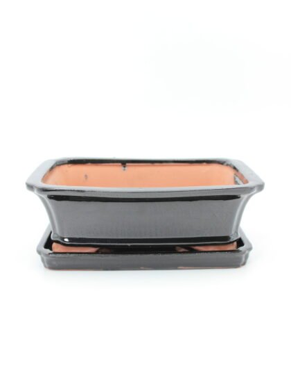 keramikinis bonsai vazonas su lėkštute skirtas bonsai medeliui kambaryje