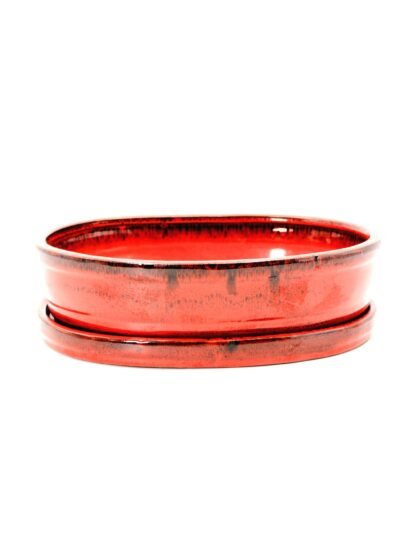 keramikinis bonsai vazonas su lėkštute skirtas bonsai medeliui kambaryje