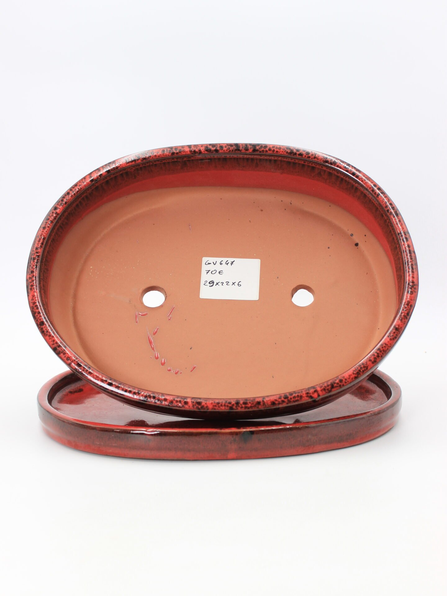 keramikinis bonsai vazonas su lėkštute skirtas bonsai medeliui kambaryje