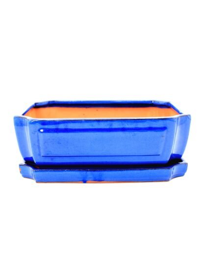 keramikinis bonsai vazonas su lėkštute skirtas bonsai medeliui kambaryje