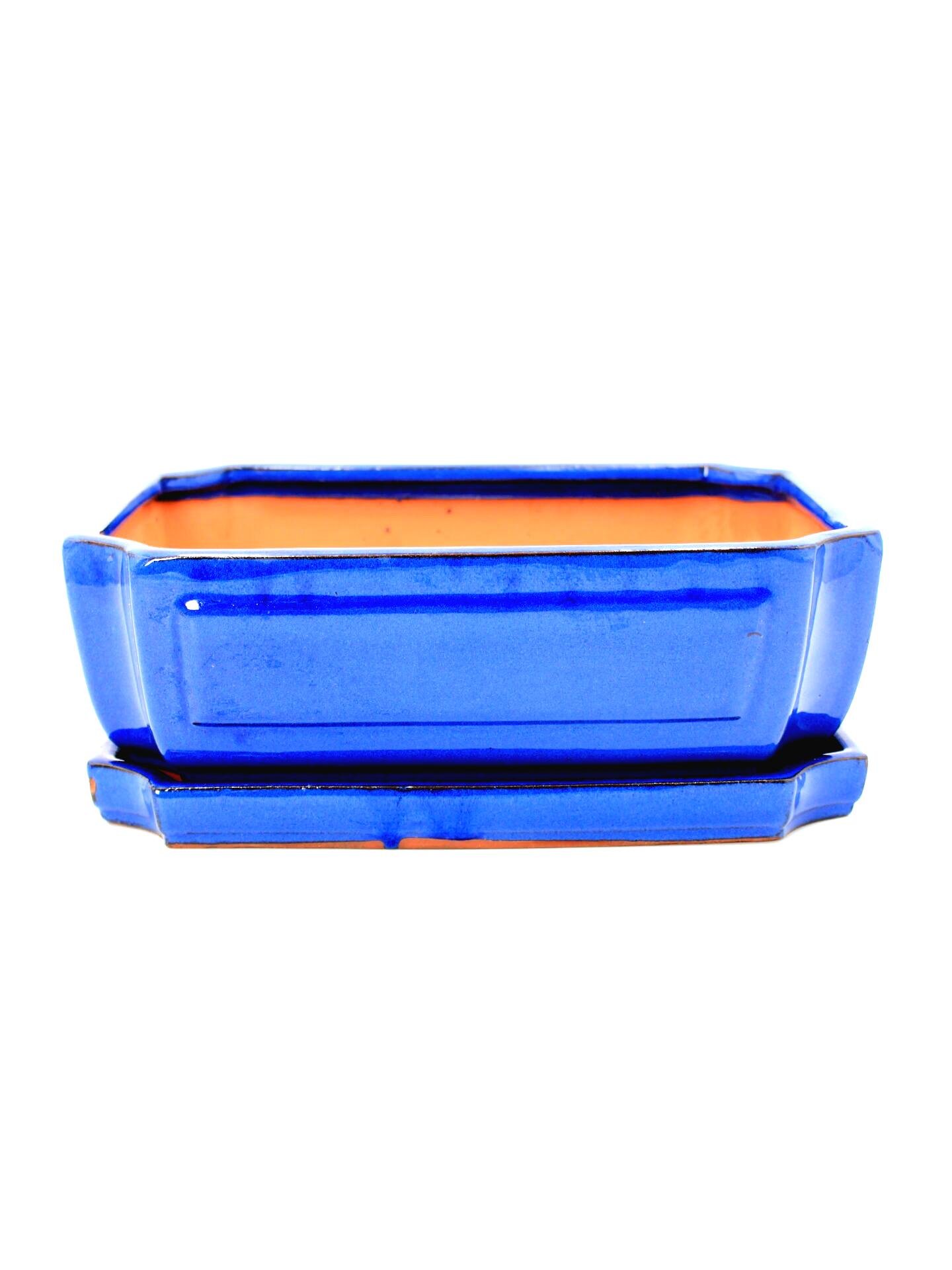 keramikinis bonsai vazonas su lėkštute skirtas bonsai medeliui kambaryje