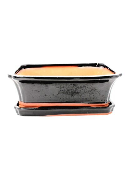 keramikinis bonsai vazonas su lėkštute skirtas bonsai medeliui kambaryje