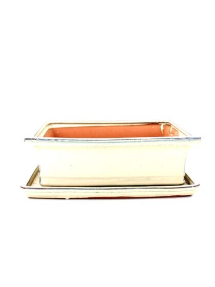 keramikinis bonsai vazonas su lėkštute skirtas bonsai medeliui kambaryje