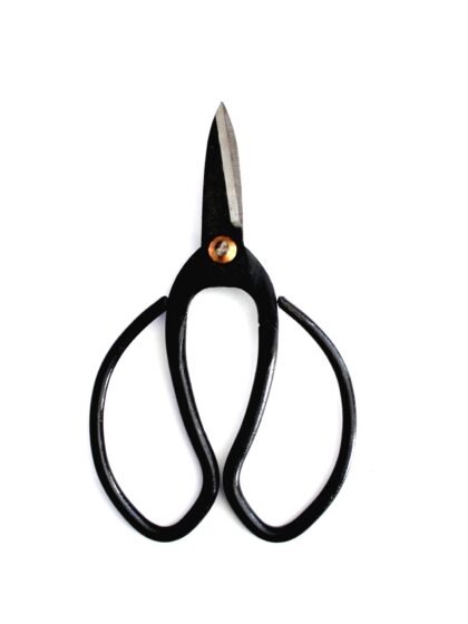 Šakų žirklės  185 mm.