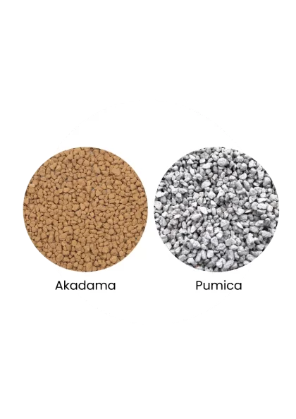 Kadama and Pumica mixture
